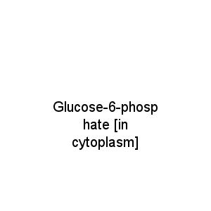 Glucose-6-phosphate [in cytoplasm]